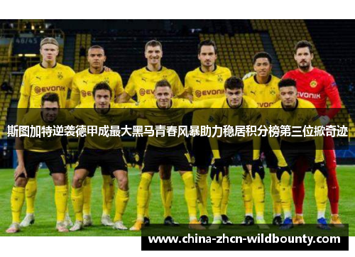 斯图加特逆袭德甲成最大黑马青春风暴助力稳居积分榜第三位掀奇迹