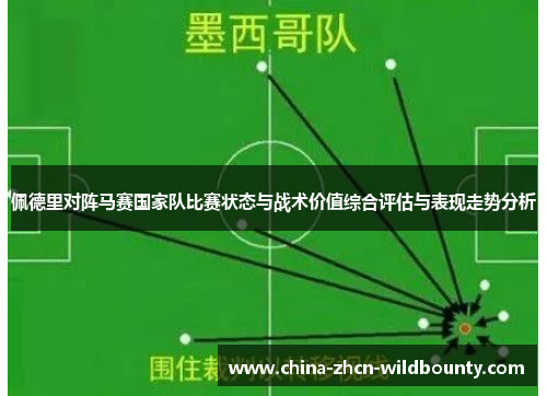 佩德里对阵马赛国家队比赛状态与战术价值综合评估与表现走势分析
